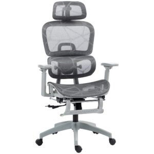 Multi-Adjustable Mesh Ergonomic Office Chair with Lumbar Support, Headrest, Grey